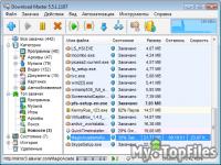 Look at screenshot of Download Master