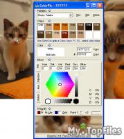 Look at screenshot of ColorPic