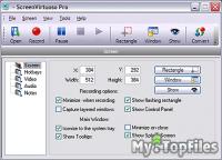 Look at screenshot of ScreenVirtuoso PRO
