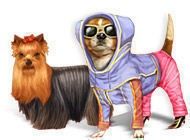 Look at screenshot of Dress-Up Pups